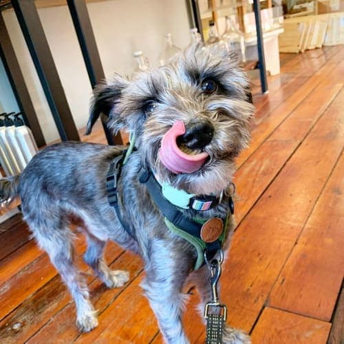 Rue looking handsome